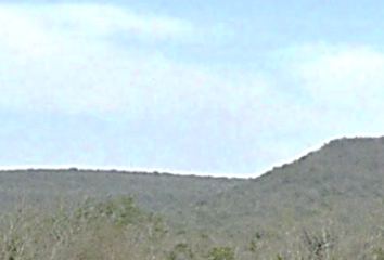 Lote de Terreno en  Abasolo, Tamaulipas, México