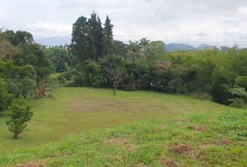 Lote de Terreno en  Centro, Pereira