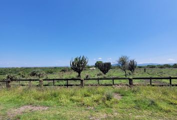 Lote de Terreno en  Vergel, Salamanca, Guanajuato, 36782, Mex