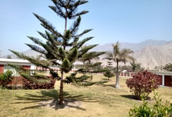 Terreno en  Luis Felipe De Las Casas, Cieneguilla, Perú