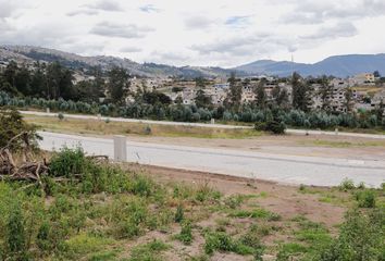 Terreno Comercial en  Llano Chico, Ecuador