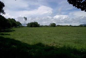 Lotes y Terrenos en  Punta De Barco, San Carlos