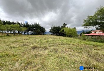 Terreno Comercial en  Loja