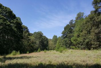 Lote de Terreno en  Villa Del Carbón, Estado De México, México