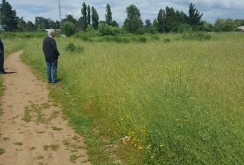 Parcela en  Teno, Curicó