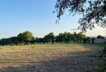 Lote de Terreno en  San Gil, San Juan Del Río, Querétaro