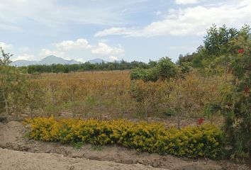 Terreno Comercial en  Malchinguí, Pedro Moncayo