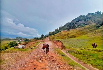 Lote de Terreno en  Peñol, Antioquia, Colombia
