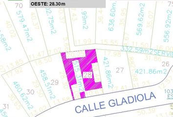 Lote de Terreno en  Fraccionamiento Rancho San Diego, Tonatico - Taxco, Ixtapan De La Sal, Estado De México, México