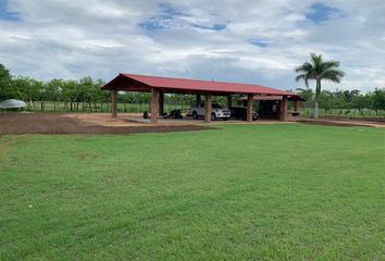 Lote de Terreno en  Obrera, Hueyapan De Ocampo, Veracruz De Ignacio De La Llave, Mex