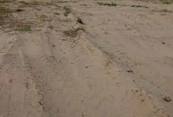 Lote de Terreno en  Graciano Sánchez, Boca Del Río, Veracruz, México