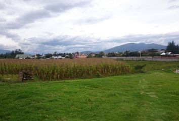 Terreno Comercial en  24 De Mayo, Puembo, Ecuador