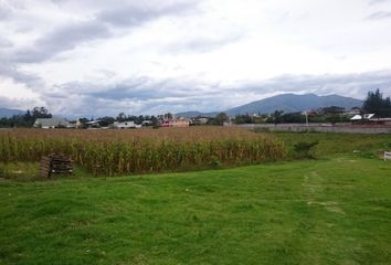 Terreno Comercial en  24 De Mayo, Puembo, Ecuador