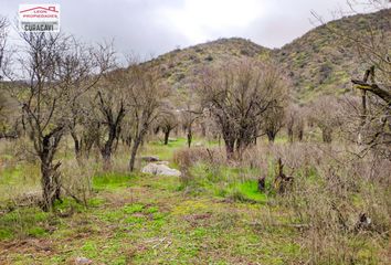 Parcela en  Cuyuncaví, Curacavi, Curacaví, Chile