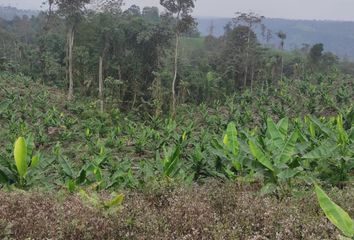 Terreno Comercial en  Honorato Vásquez (cab. En Vásquez), Santa Ana