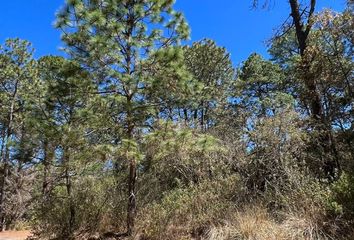 Lote de Terreno en  Carretera A Tapalpa, Tapalpa, Jalisco, 49343, Mex