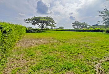 Lote de Terreno en  Paso La Torre-rozo, Palmira, Valle Del Cauca, Colombia