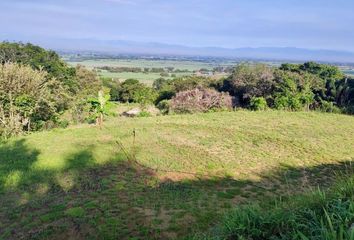 Lote de Terreno en  Urb. El Paraíso, Palmira