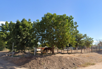 Lote de Terreno en  Silverio Trueba, Niños Heroes, Guamúchil, Sinaloa, México