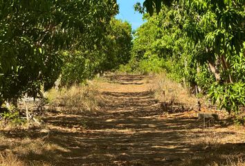 Lote de Terreno en  Santa María Colotepec, Oaxaca, Mex