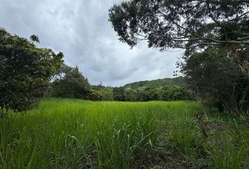 Terreno Comercial en  Malacatos (valladolid), Loja