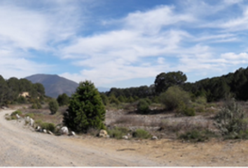 Lote de Terreno en  Saltillo, Coahuila De Zaragoza, Mex