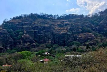 Lote de Terreno en  Pueblo Santo Domingo Ocotitlán, Tepoztlán