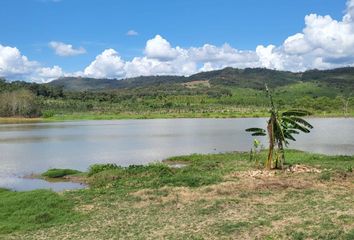 Terreno en  Lamas Distrito, Lamas