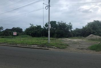 Terreno Comercial en  Pedernales, Ecuador