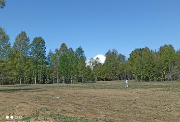 Parcela en  Villarrica, Cautín