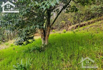 Lote de Terreno en  Mineral Del Chico, Hidalgo