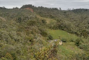 Lote de Terreno en  Concepción, Antioquia, Colombia