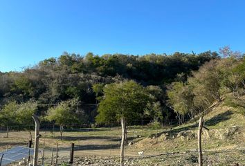 Lote de Terreno en  Las Margaritas, Nuevo León, México