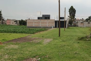 Lote de Terreno en  Toluca Mz 026, Del Cajón, San Pablo Autopan, Estado De México, México