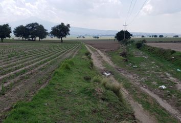 Lote de Terreno en  Nopalucan, Puebla