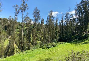 Terreno Comercial en  Yaruquí, Ecuador