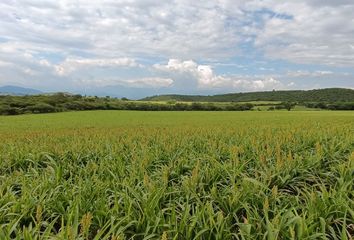 Lote de Terreno en  Tepetlixpa, Estado De México