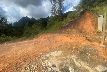 Lote de Terreno en  Vereda La Clarita, Guarne, Antioquia, Colombia