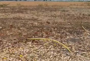 Terreno Comercial en  Isla Mocolí, Samborondón