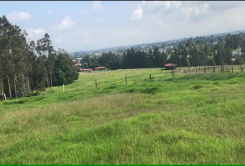 Terreno Comercial en  Tumbaco, Ecuador