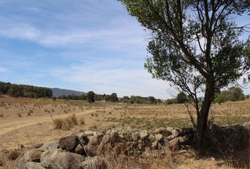 Lote de Terreno en  San Bartolo Morelos, Estado De México, México