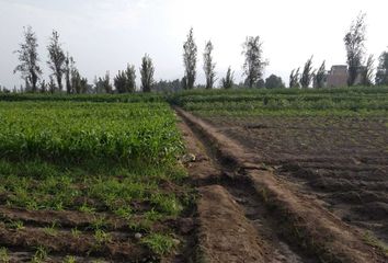 Terreno en  La Arboleda, Carabayllo, Perú