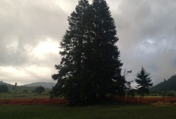 Lote de Terreno en  Santiago Tlacotepec, Estado De México, México