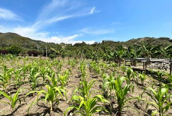 Terreno Comercial en  Pedregal, Ecuador