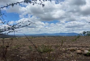 Lote de Terreno en  La Cañada, Jalisco, México