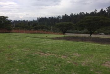 Terreno Comercial en  La Estación, Avenida Oswaldo Guayasamín, Puembo, Ecuador