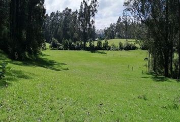 Hacienda-Quinta en  Amaguaña, Ecuador