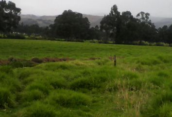 Hacienda-Quinta en  Cayambe, Ecuador