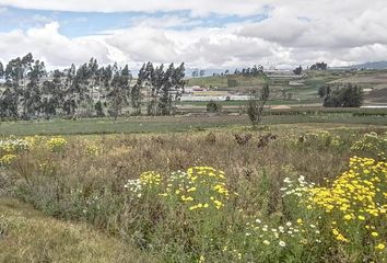 Terreno Comercial en  Unamuncho, Ecuador