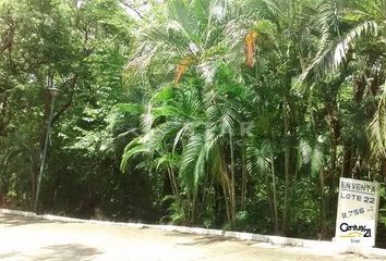 Lote de Terreno en  Pichilingue, Acapulco De Juárez